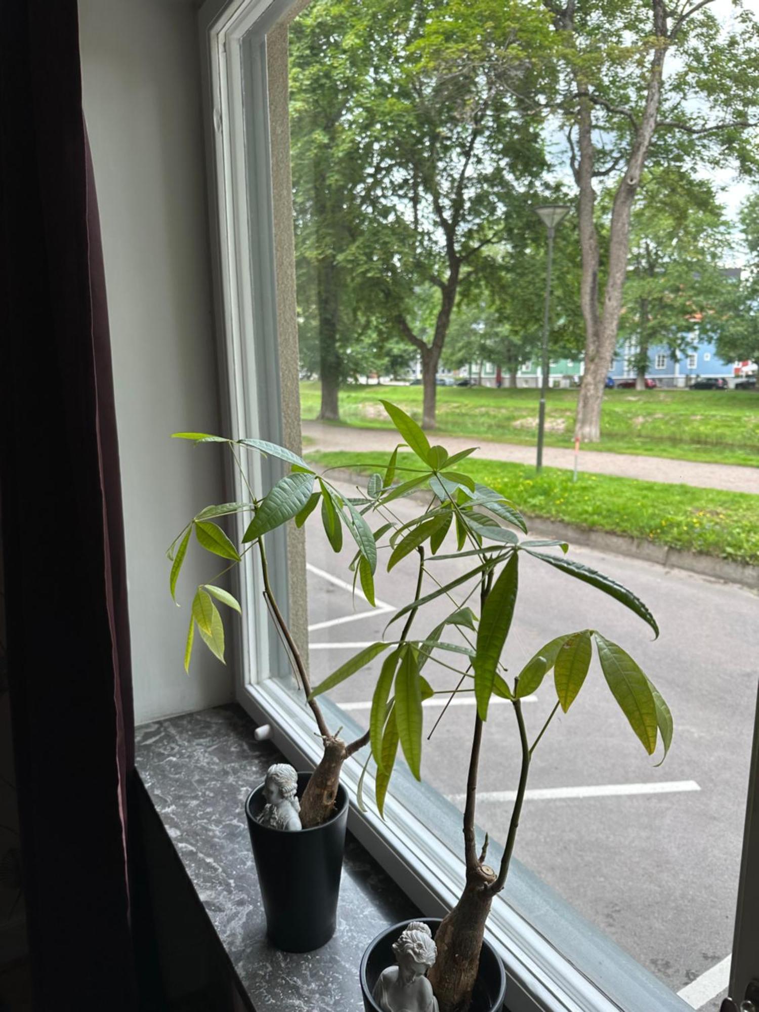 Pramkanalens Pensionat I Karlstad Exterior foto